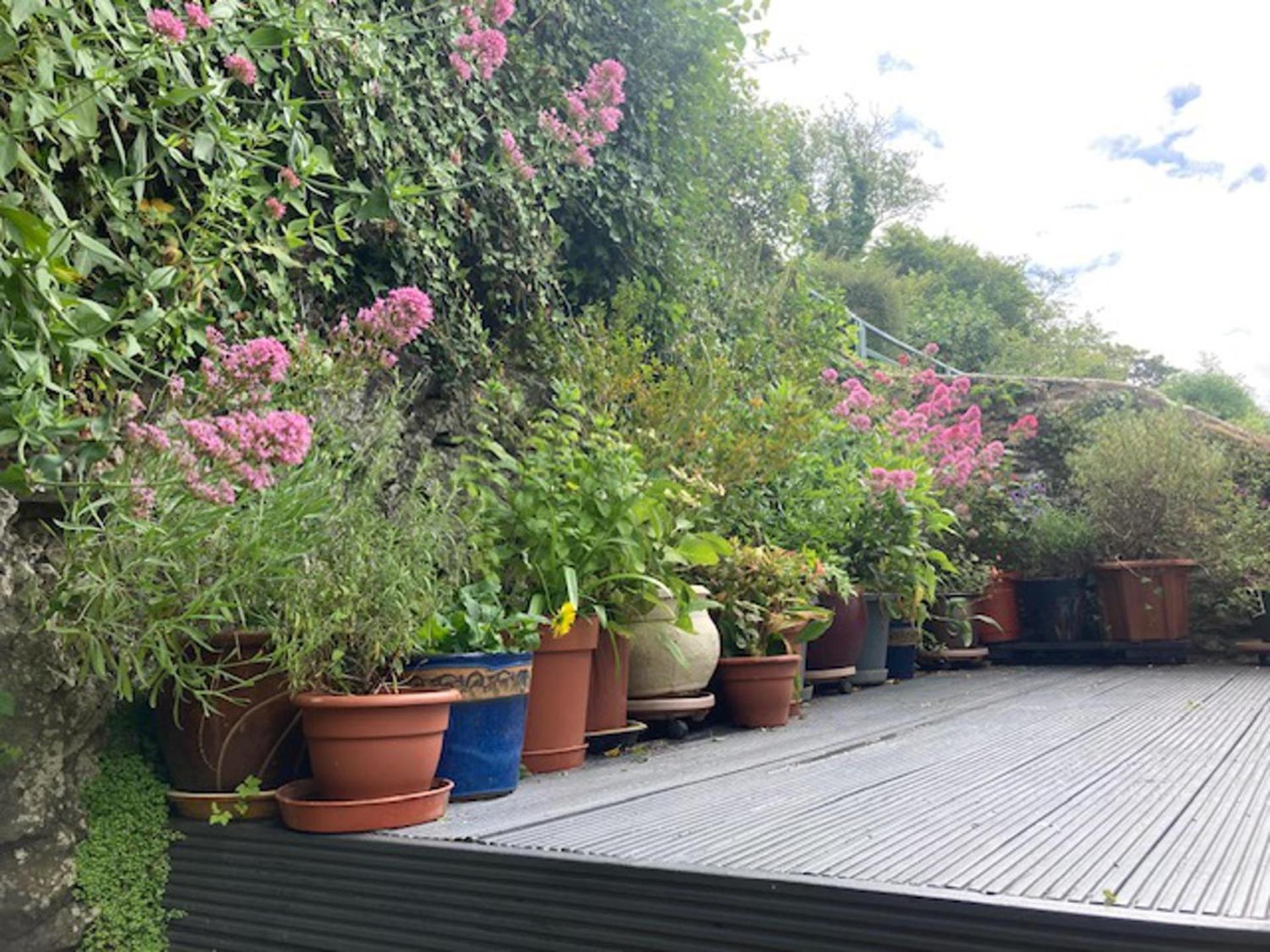 Stable - - Sleeps 4 - Pet Allowed Holiday home Braunton