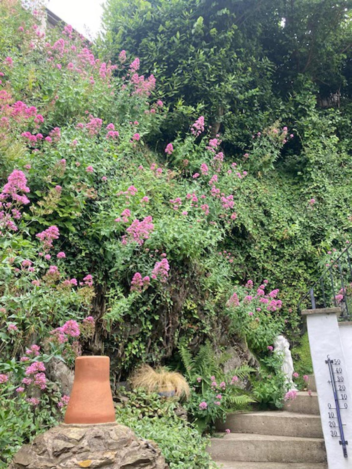 Stable - - Sleeps 4 - Pet Allowed